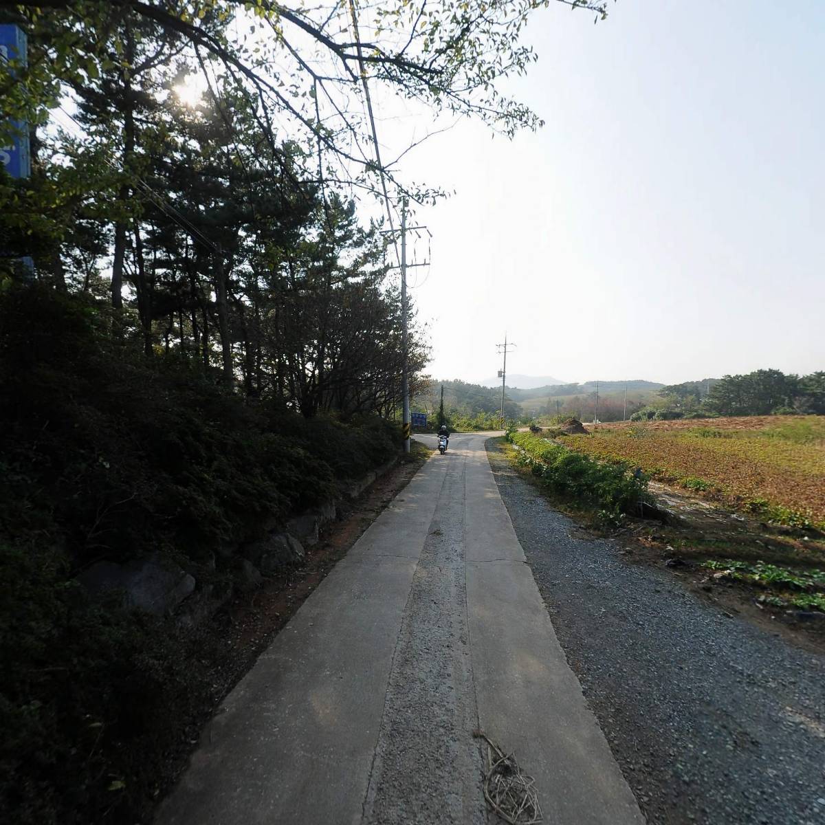 청솔농원_2