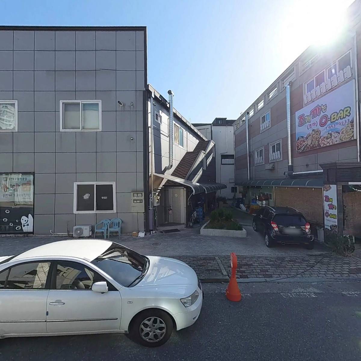 아이러브독 강아지애견 광주점_3