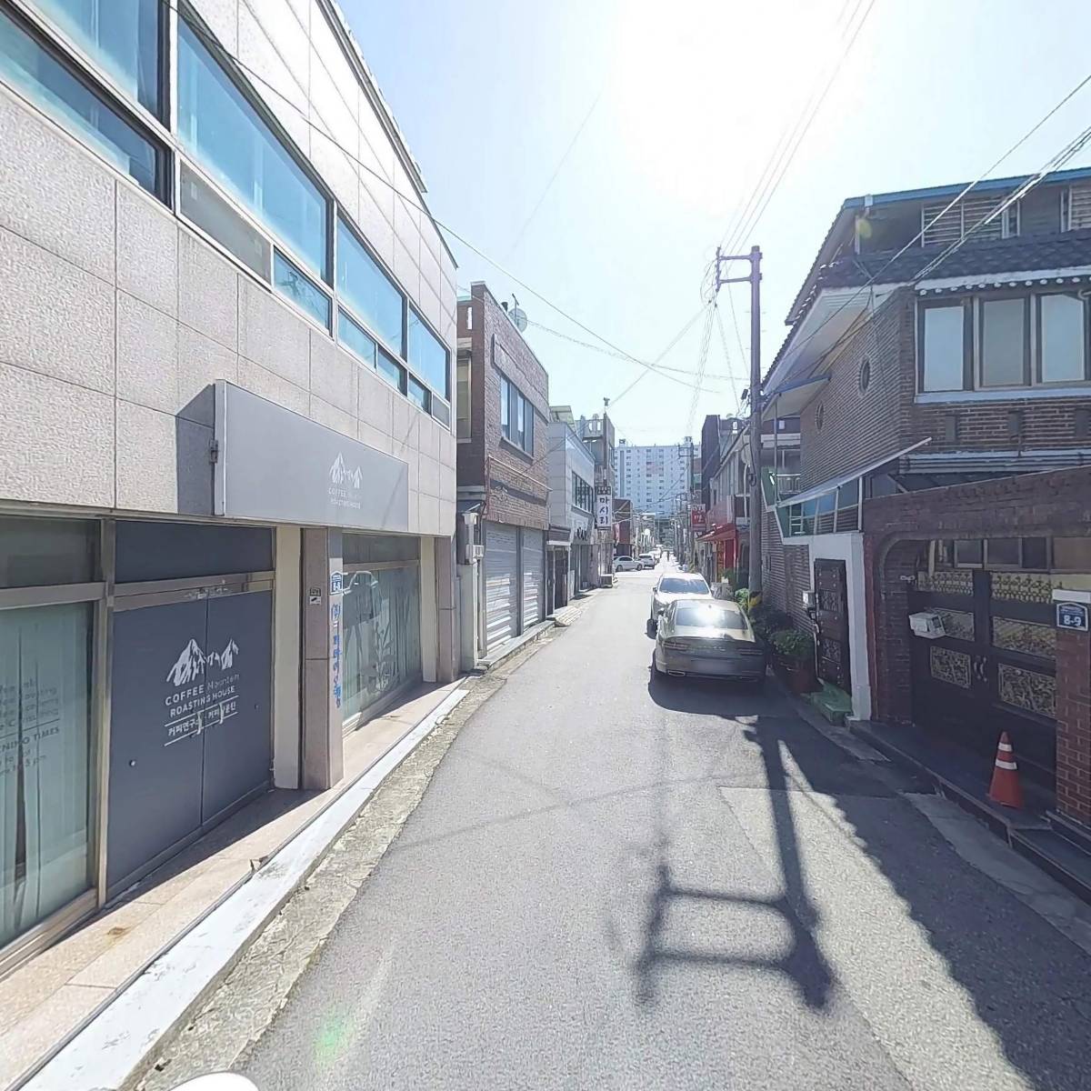 제노카파_2