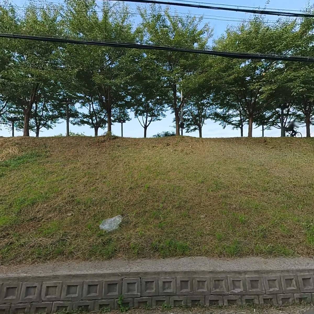 윙윙패브릭_3