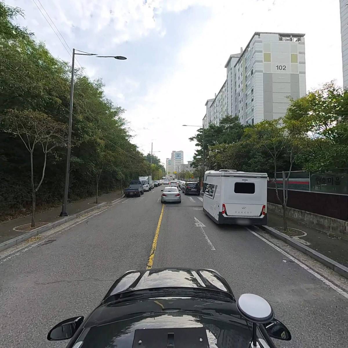 푸른동물병원_4