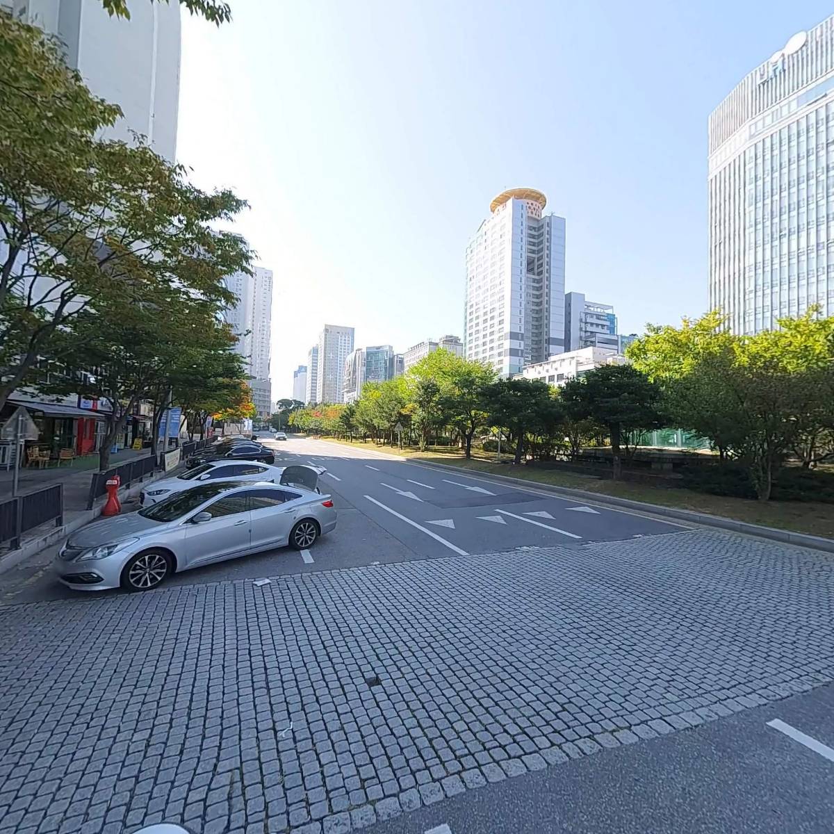 자모크_2