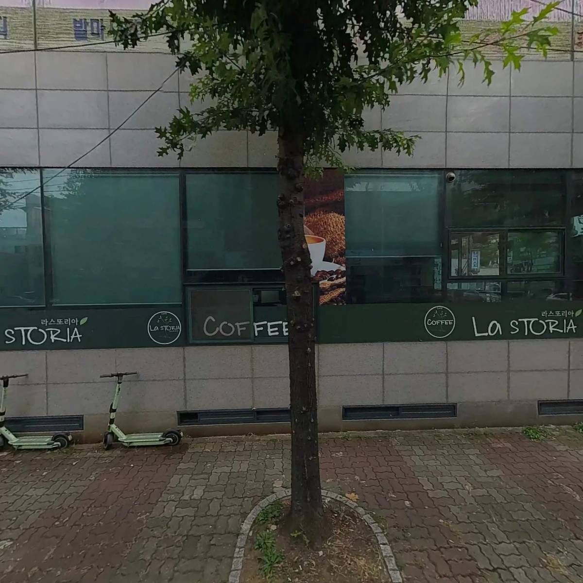 지오스톤