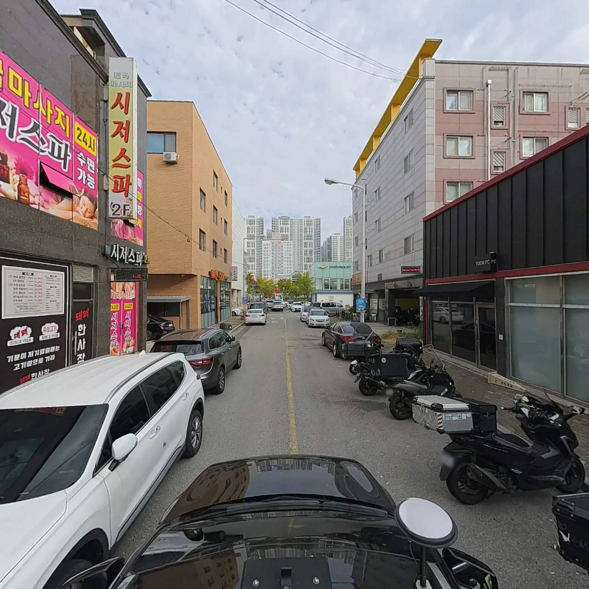 젠틀바_4