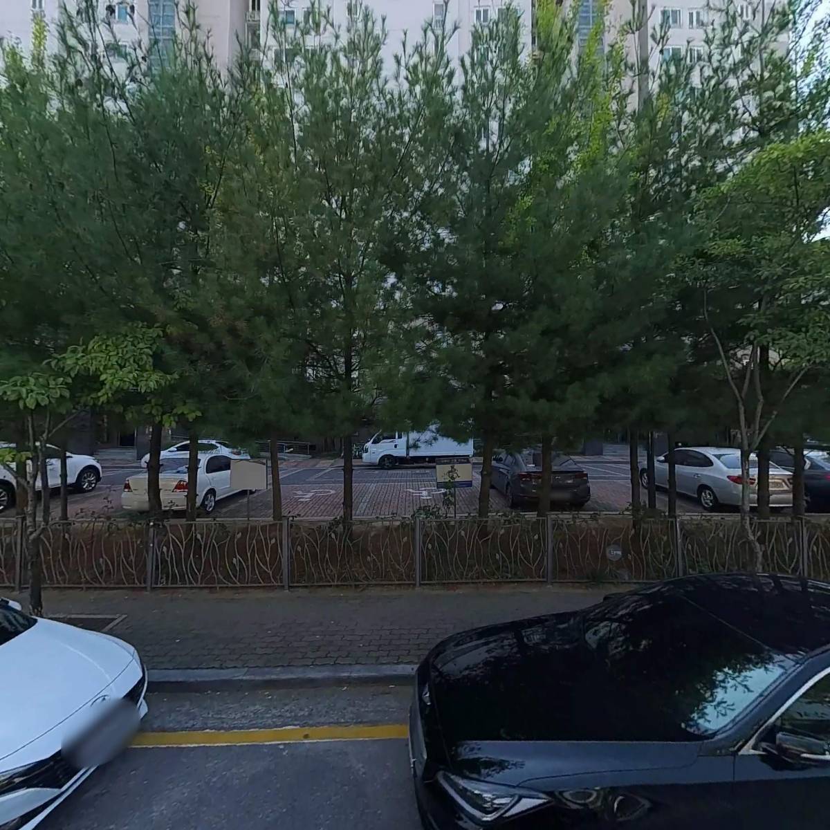 광주강아지분양 광주고양이분양 다루펫 광주점