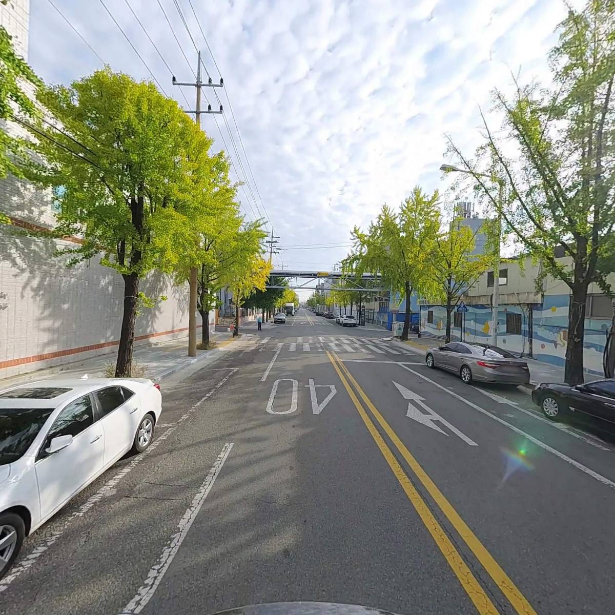 대영엠다이텍（DYM+DYETEC）_2