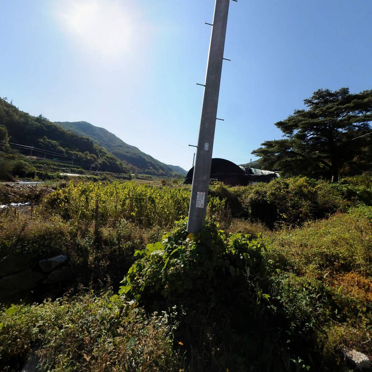 굿모닝노인복지센터