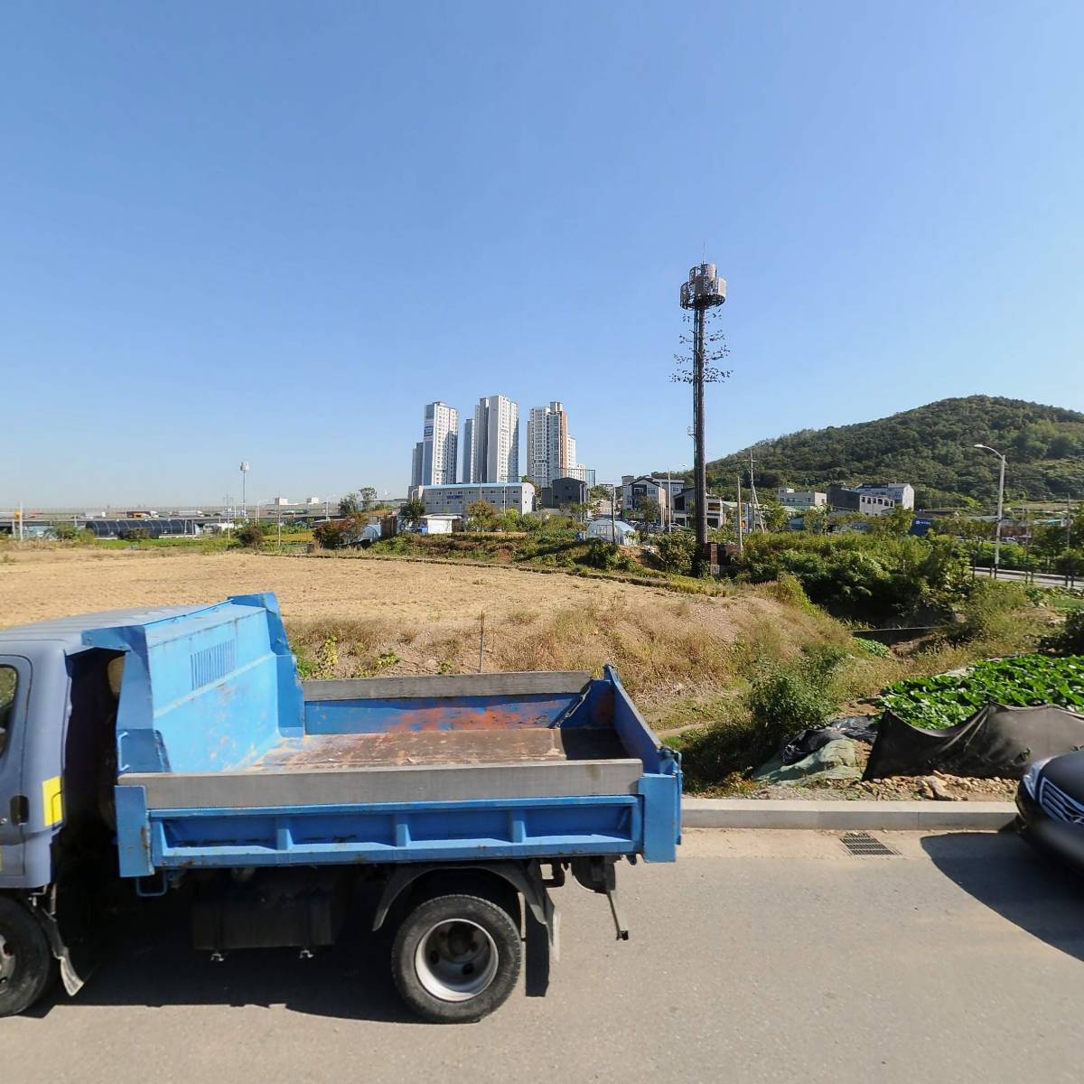 대궐봉평메밀막국수