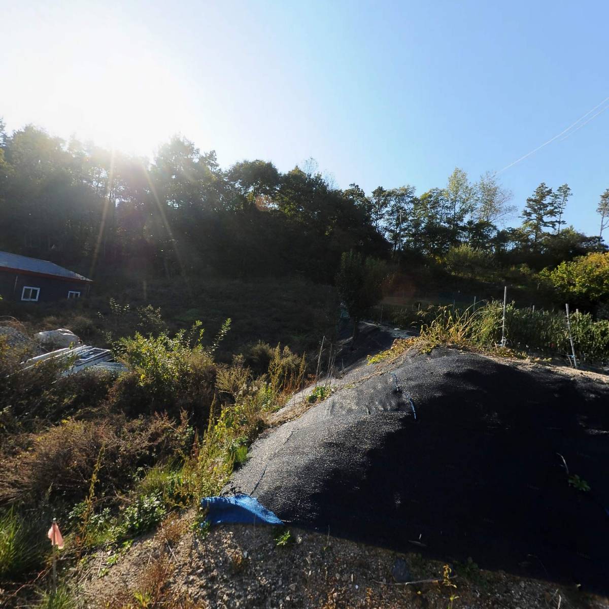 농업회사법인 한국벤처영농 (주)_3