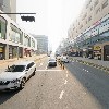 엔돌펫(Endorpet)_2