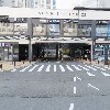 술끼