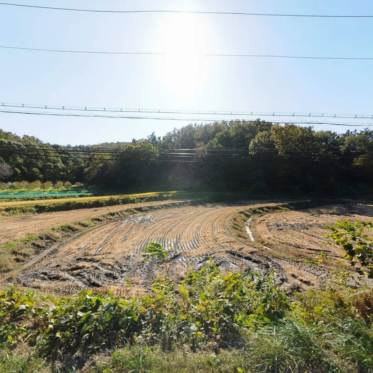 (주)케이알티엔유