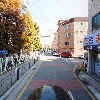 광도안댄(QUANTOANDEN)_4