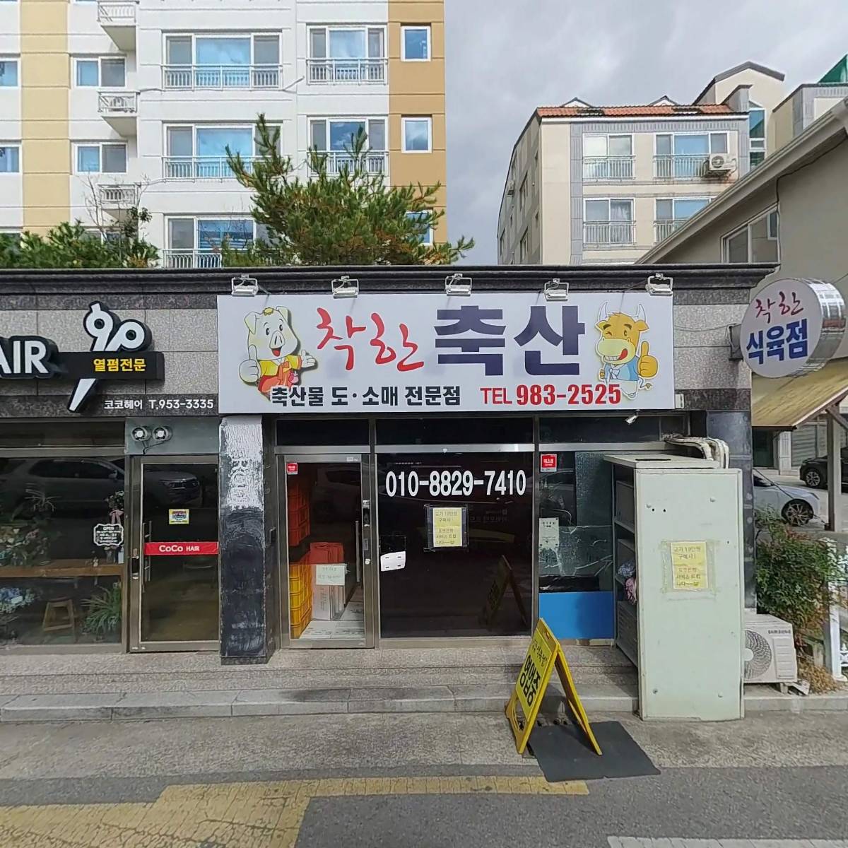 카모티뷰_3