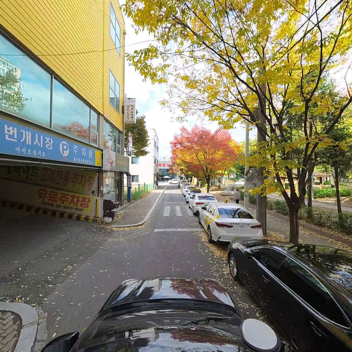 바치헤어_4