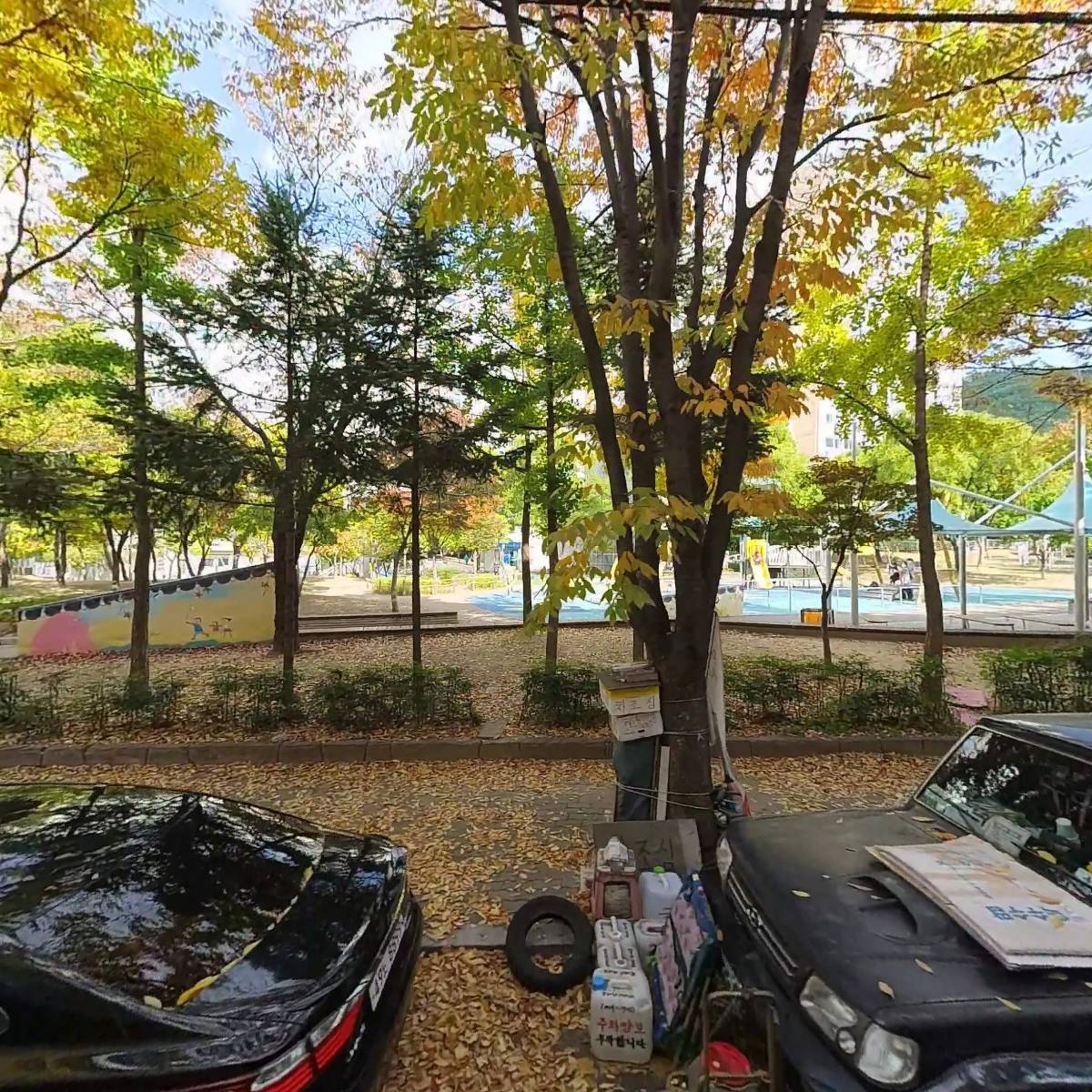 바치헤어