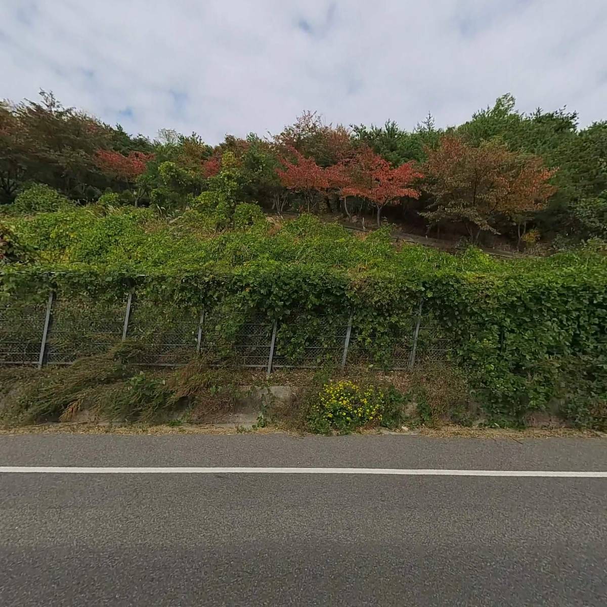 주전 푸짐한수산_3