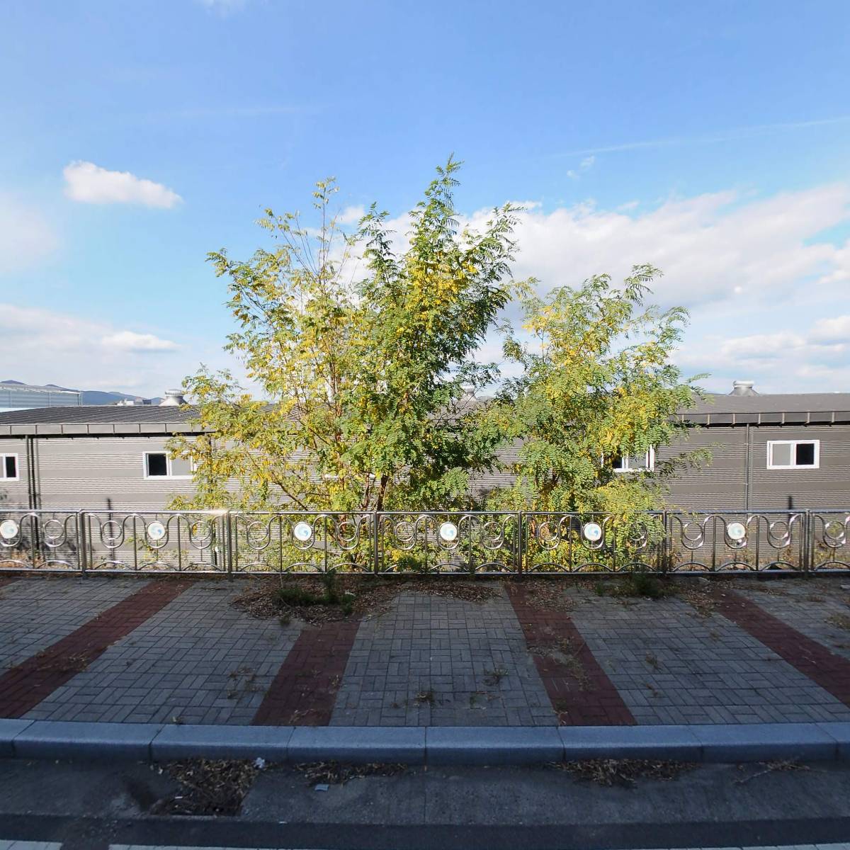 주식회사 드리머스