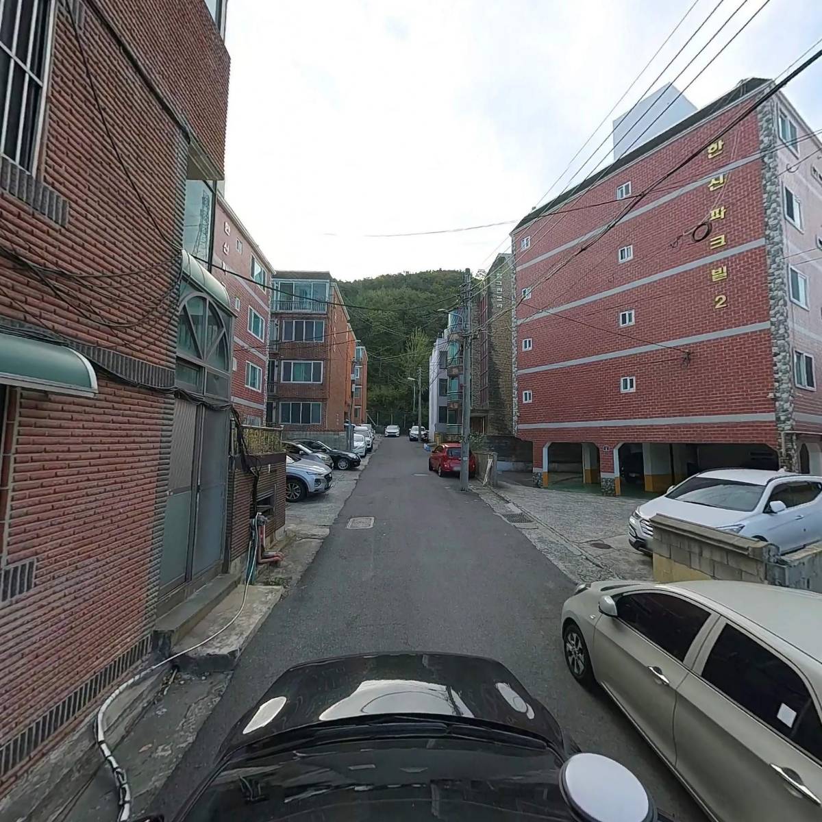 꾸지뽕누에마을약초도사_4