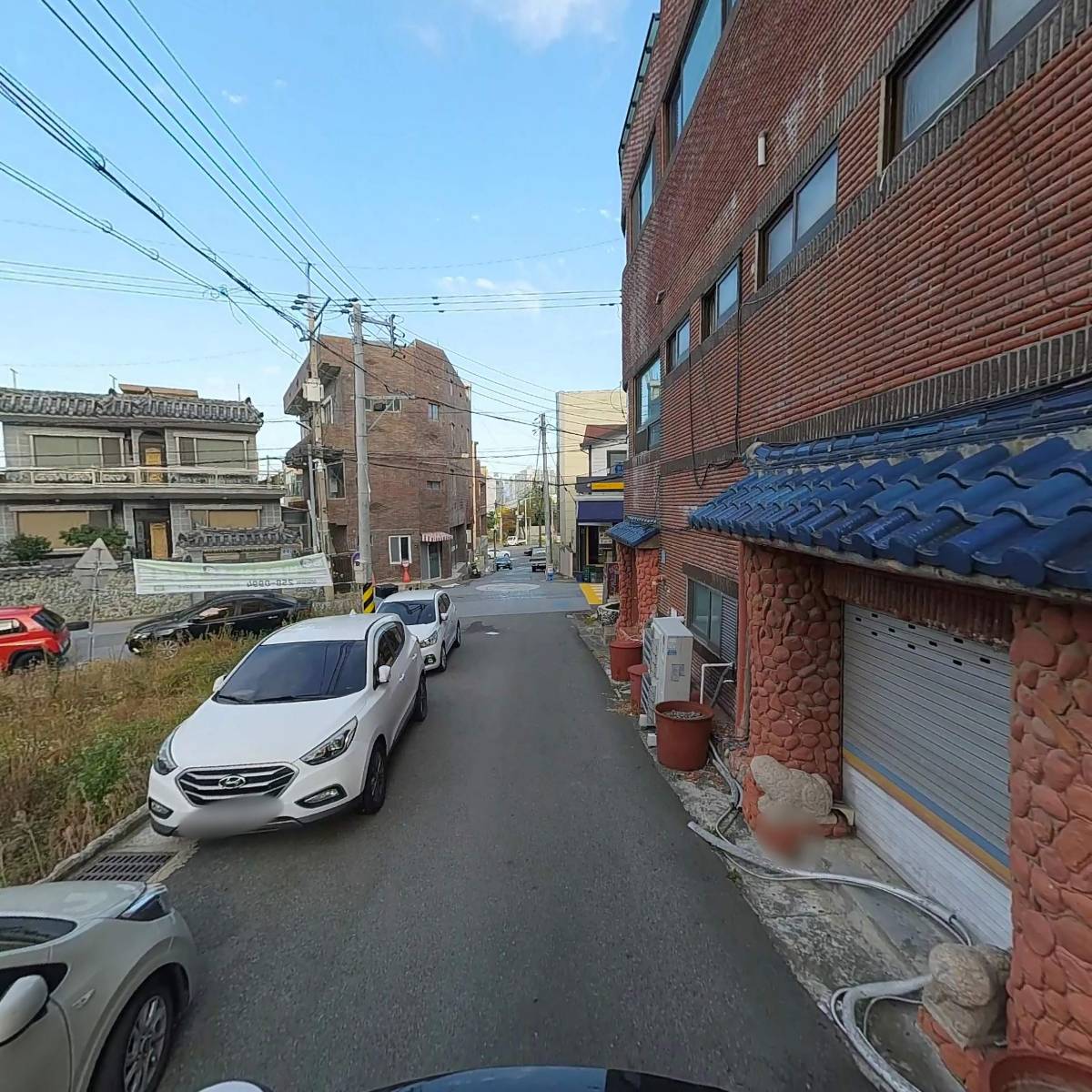 꾸지뽕누에마을약초도사_2