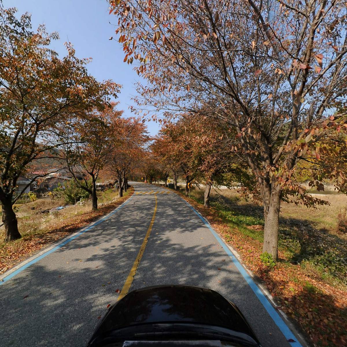 풀빛사랑_4