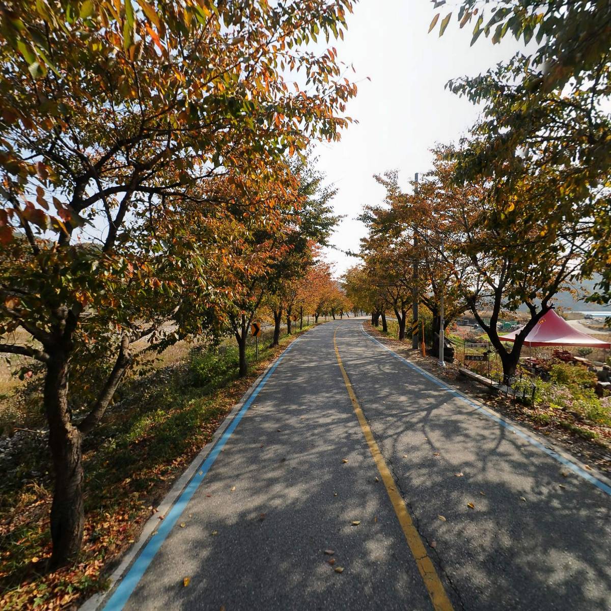 풀빛사랑_2