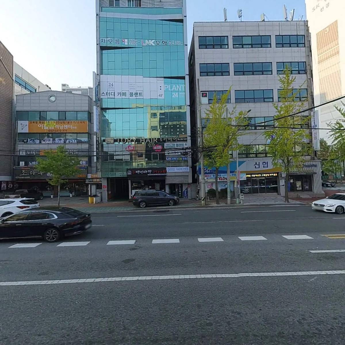 세무법인금진(울산지점)_3