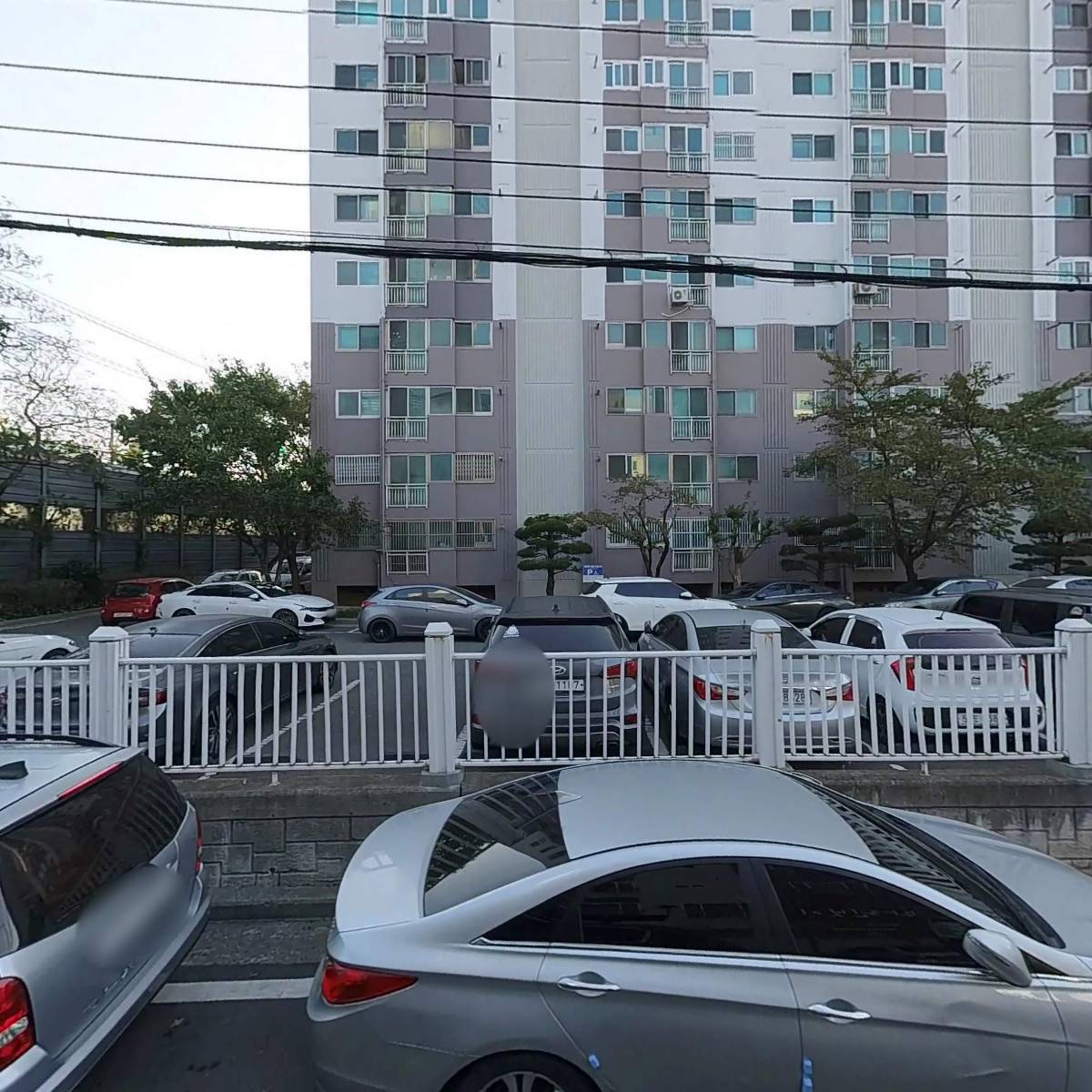 마린보이