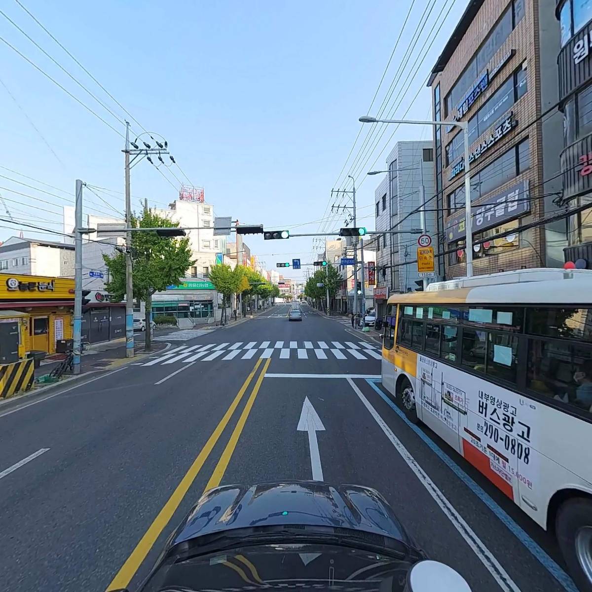 라벤더_4