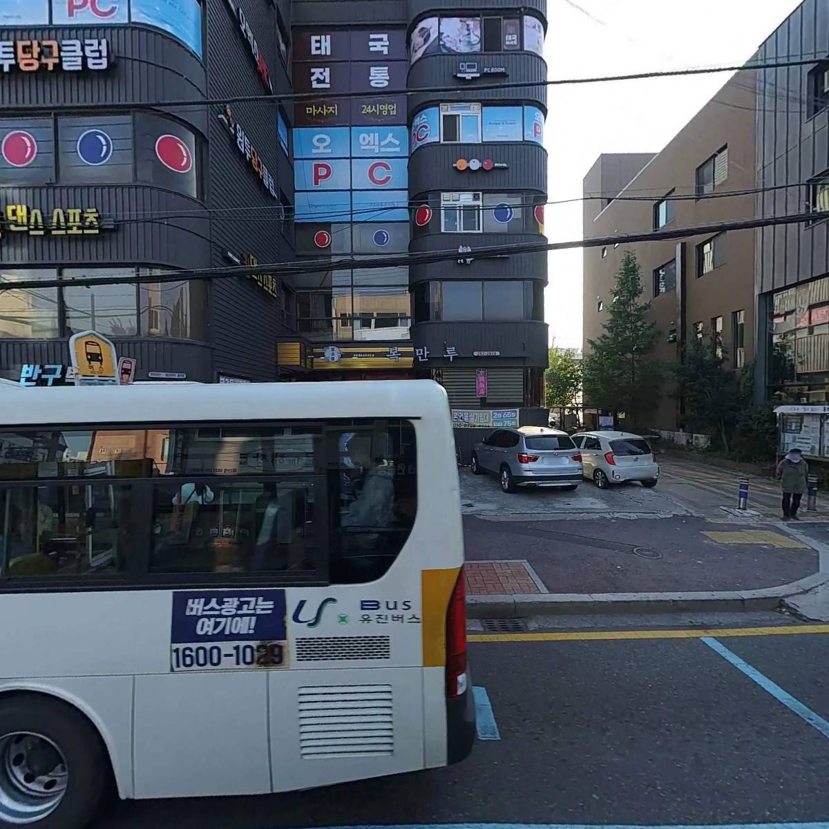 라벤더