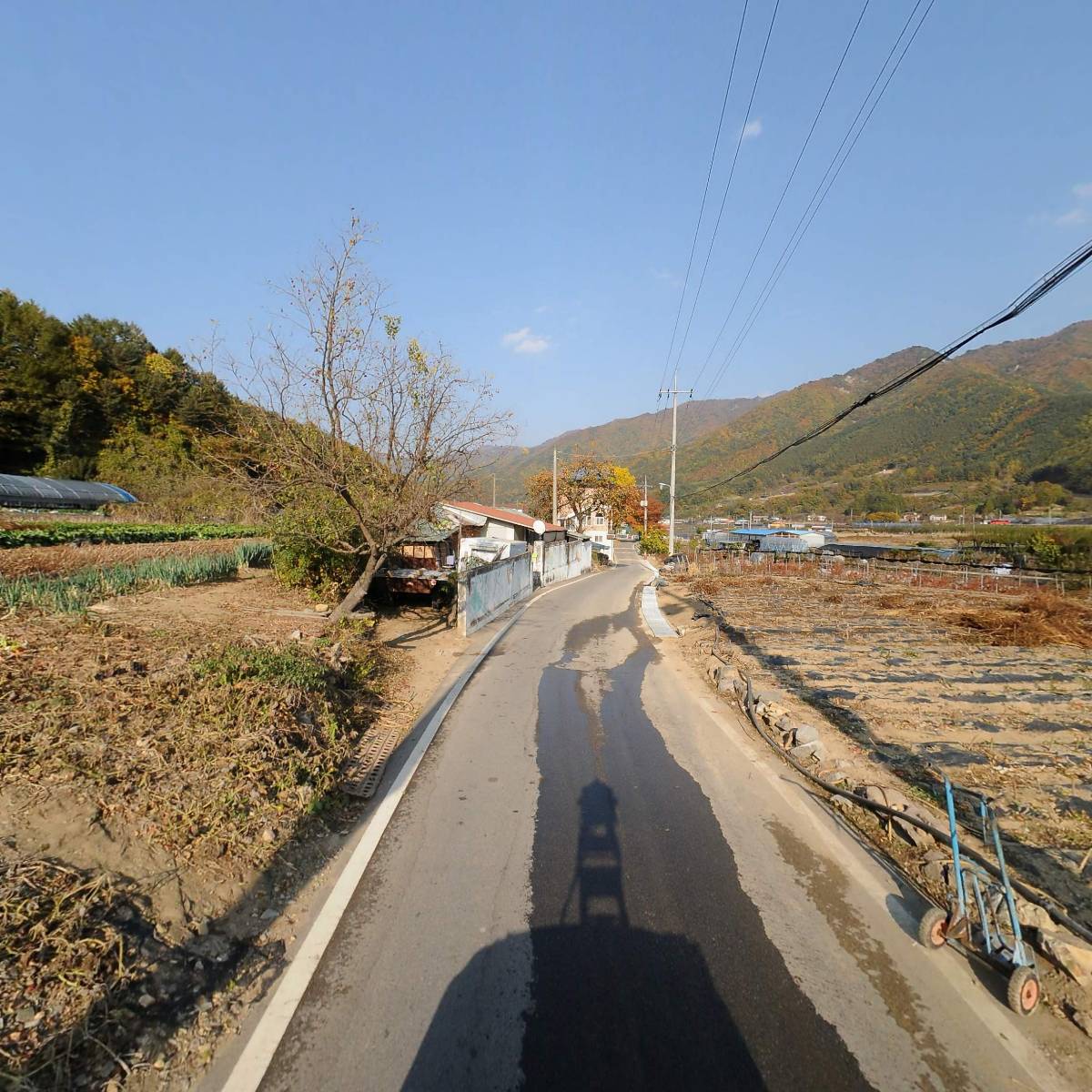 쁨이네_2
