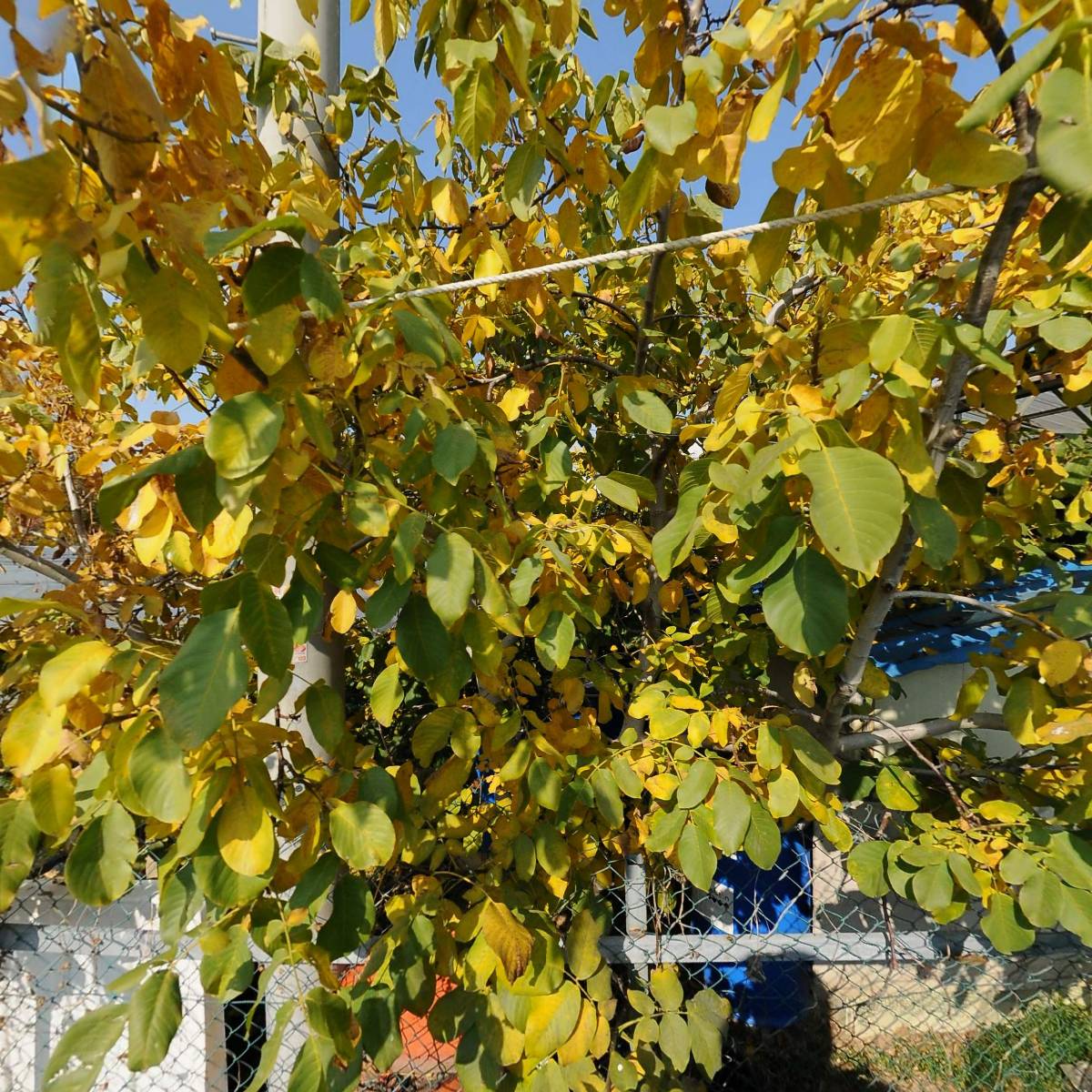 톡톡피싱_3