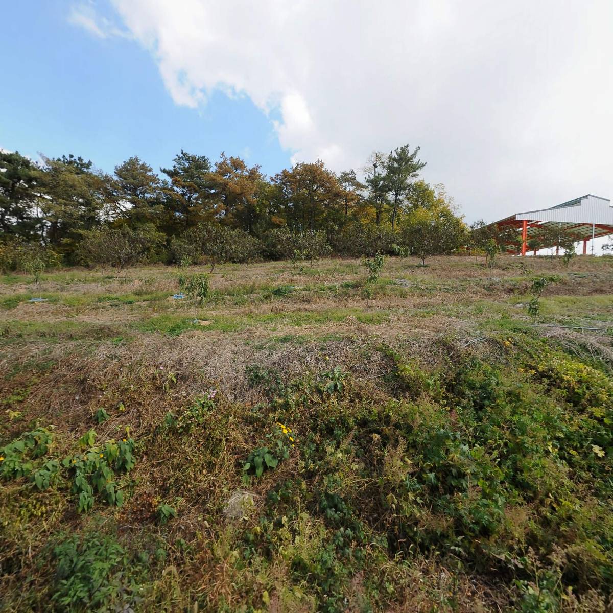 이-시스템퍼니처