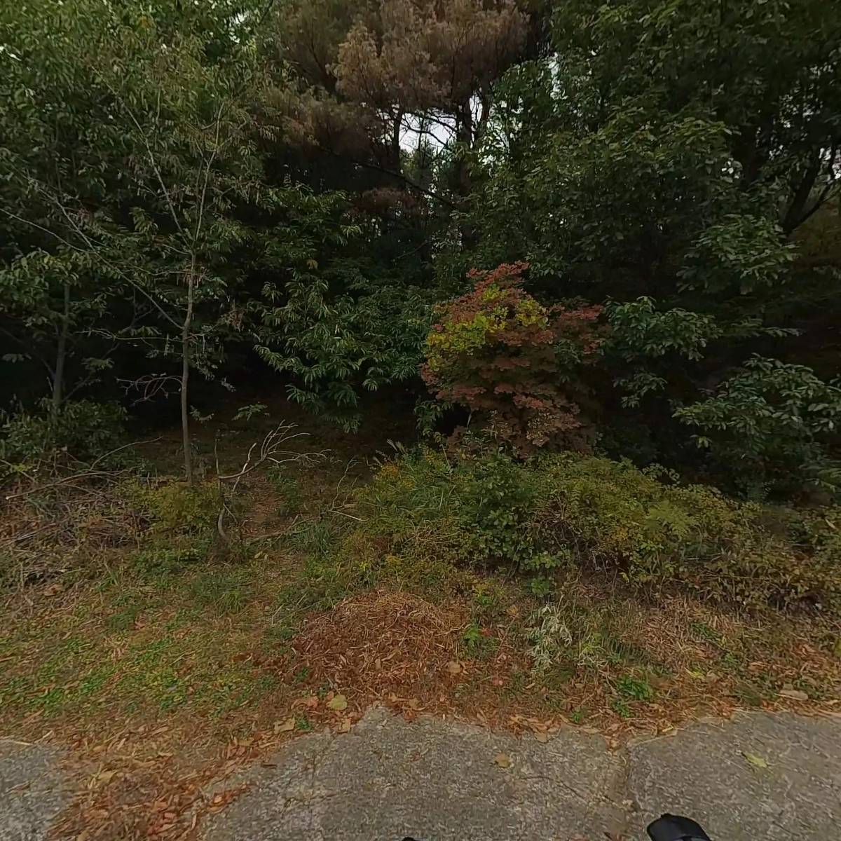 (사)대한불교 금강 조계종 삼목원_3