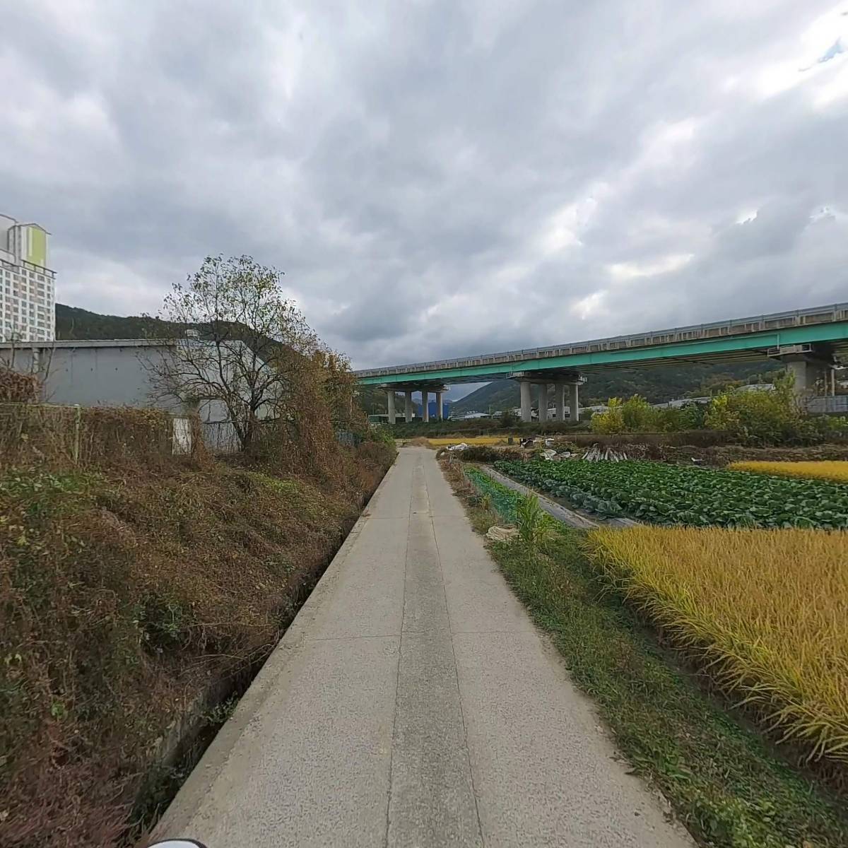 늘품산업_2