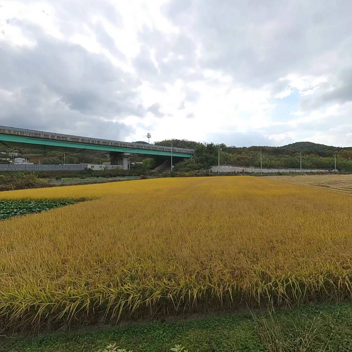 늘품산업_3