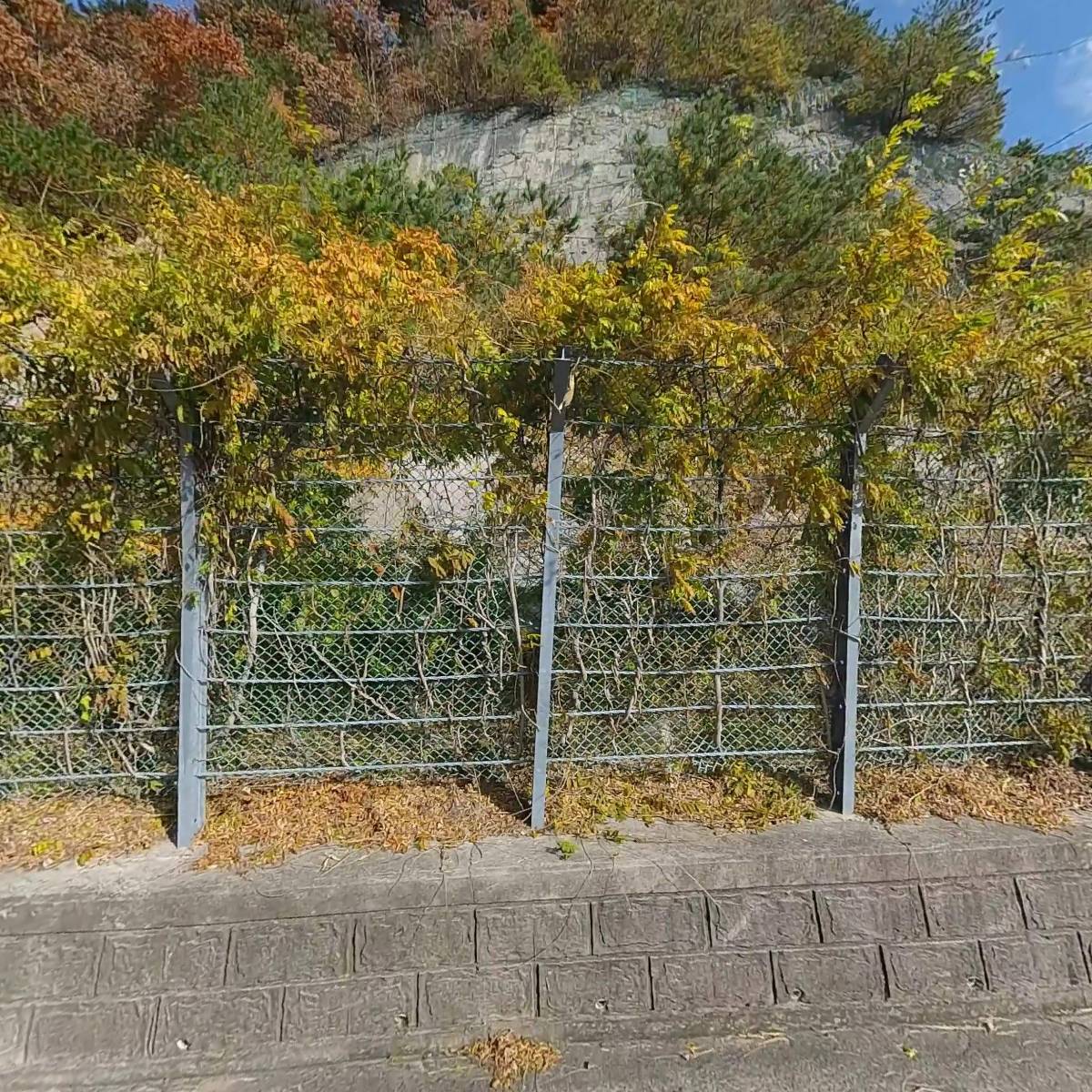 세계불교여래종 덕성사