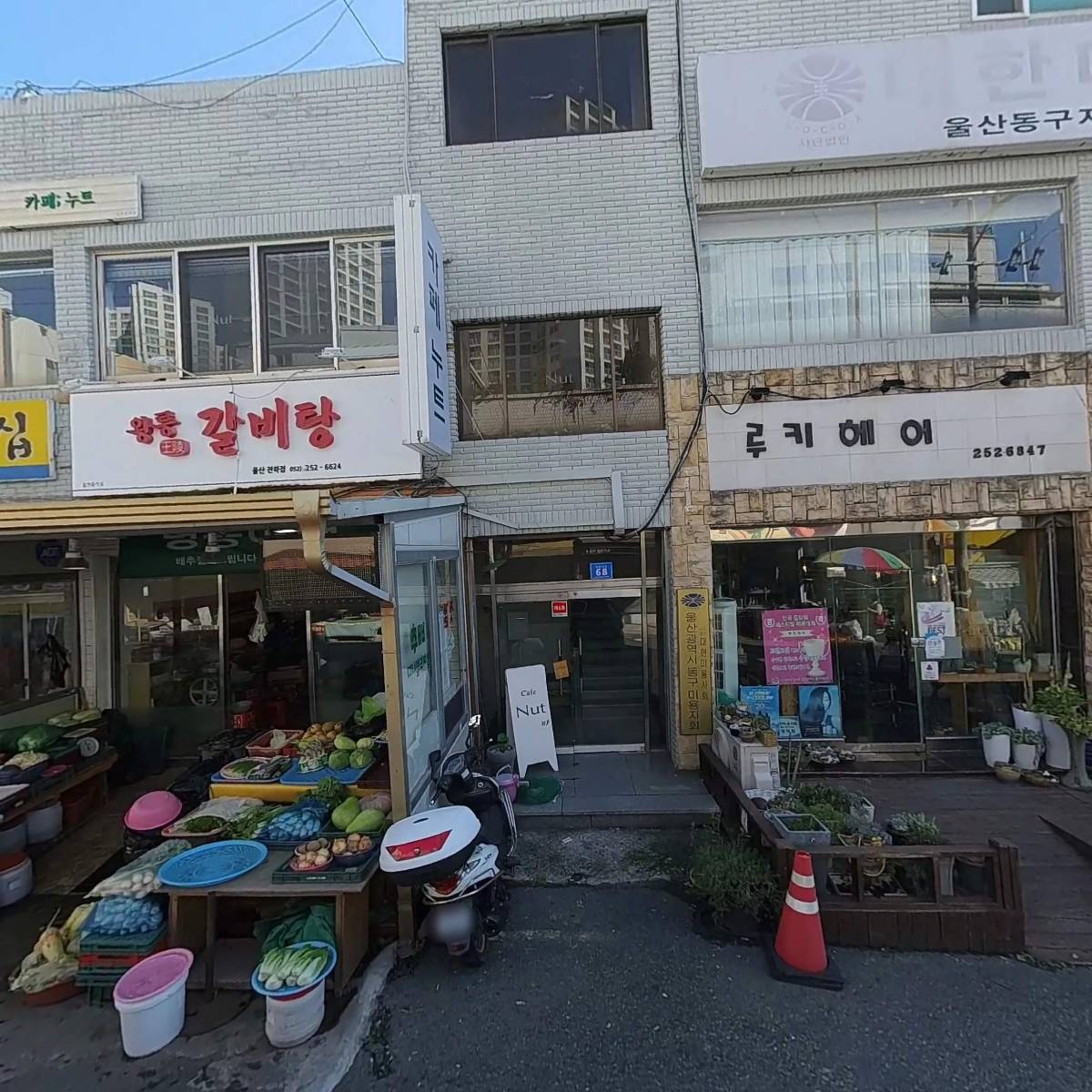 윌치과의원