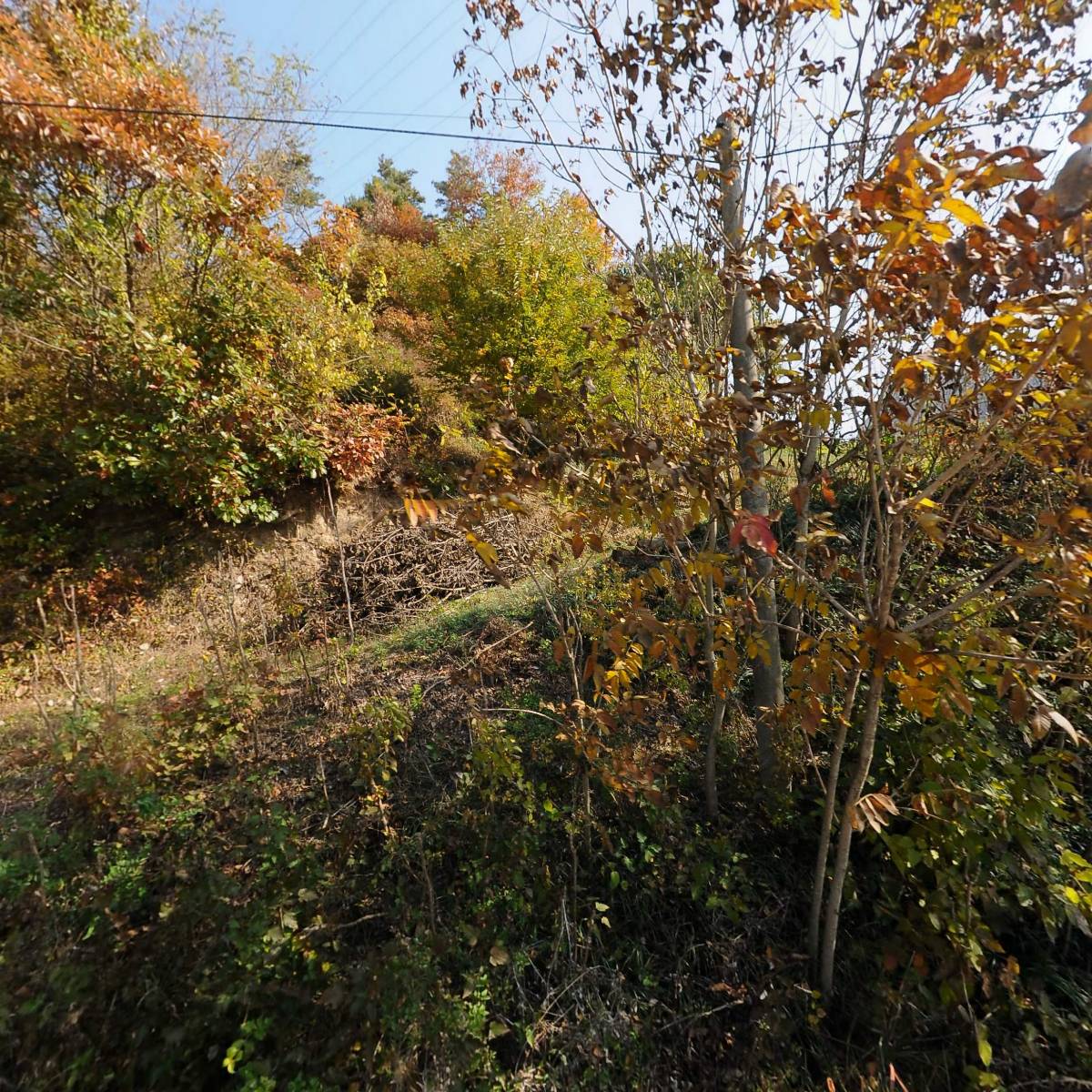 금산농촌관광협동조합