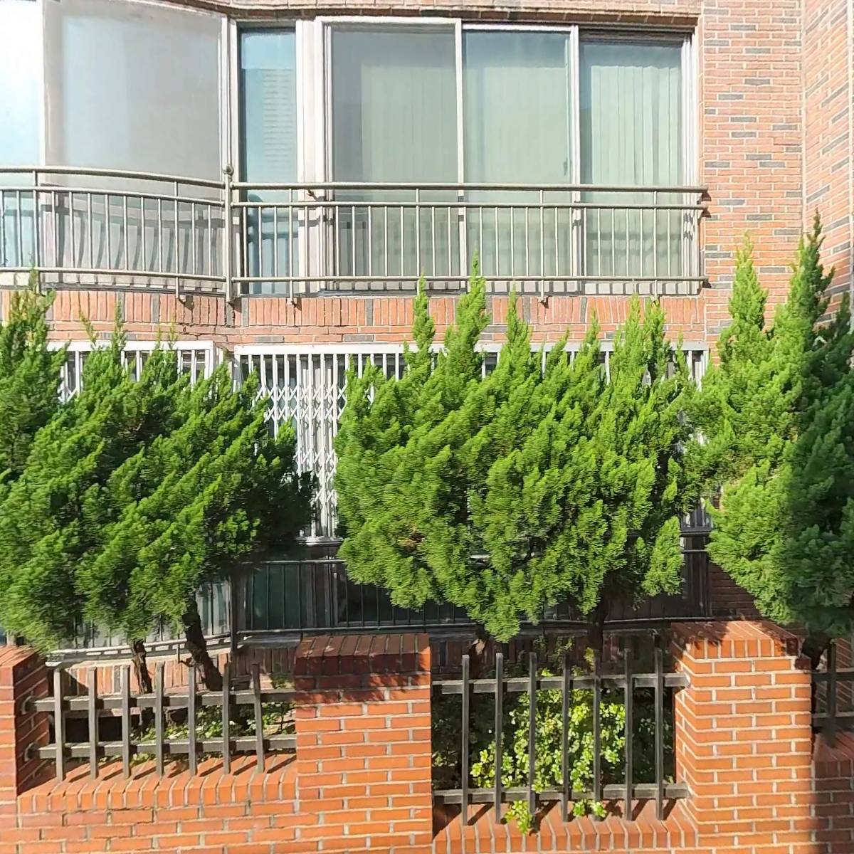 평해황씨충절공파26세조두왕문회