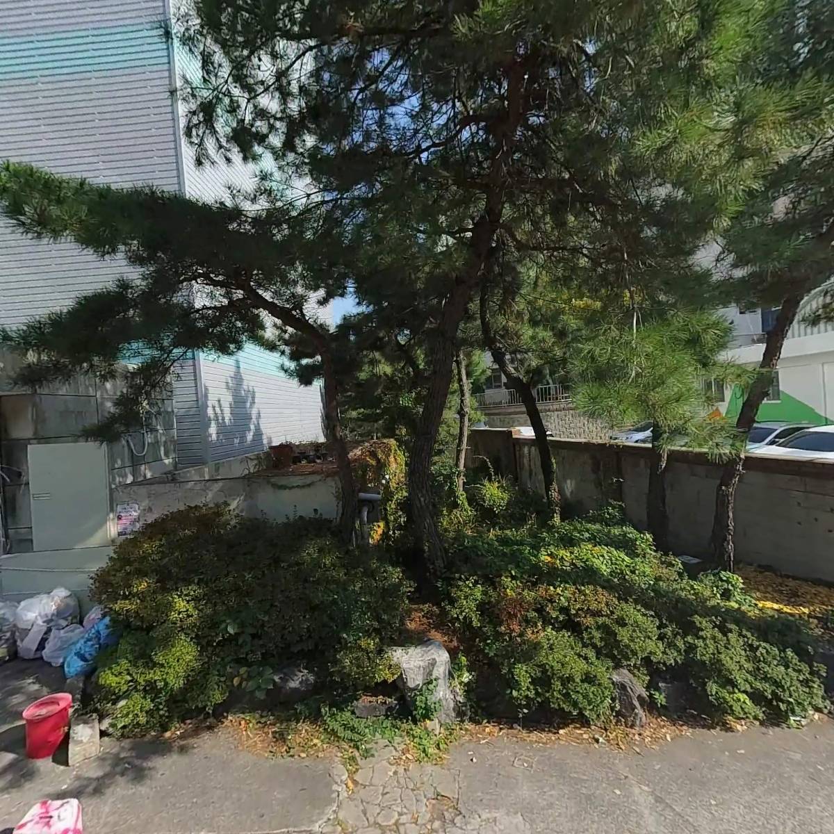 심수용복싱클럽