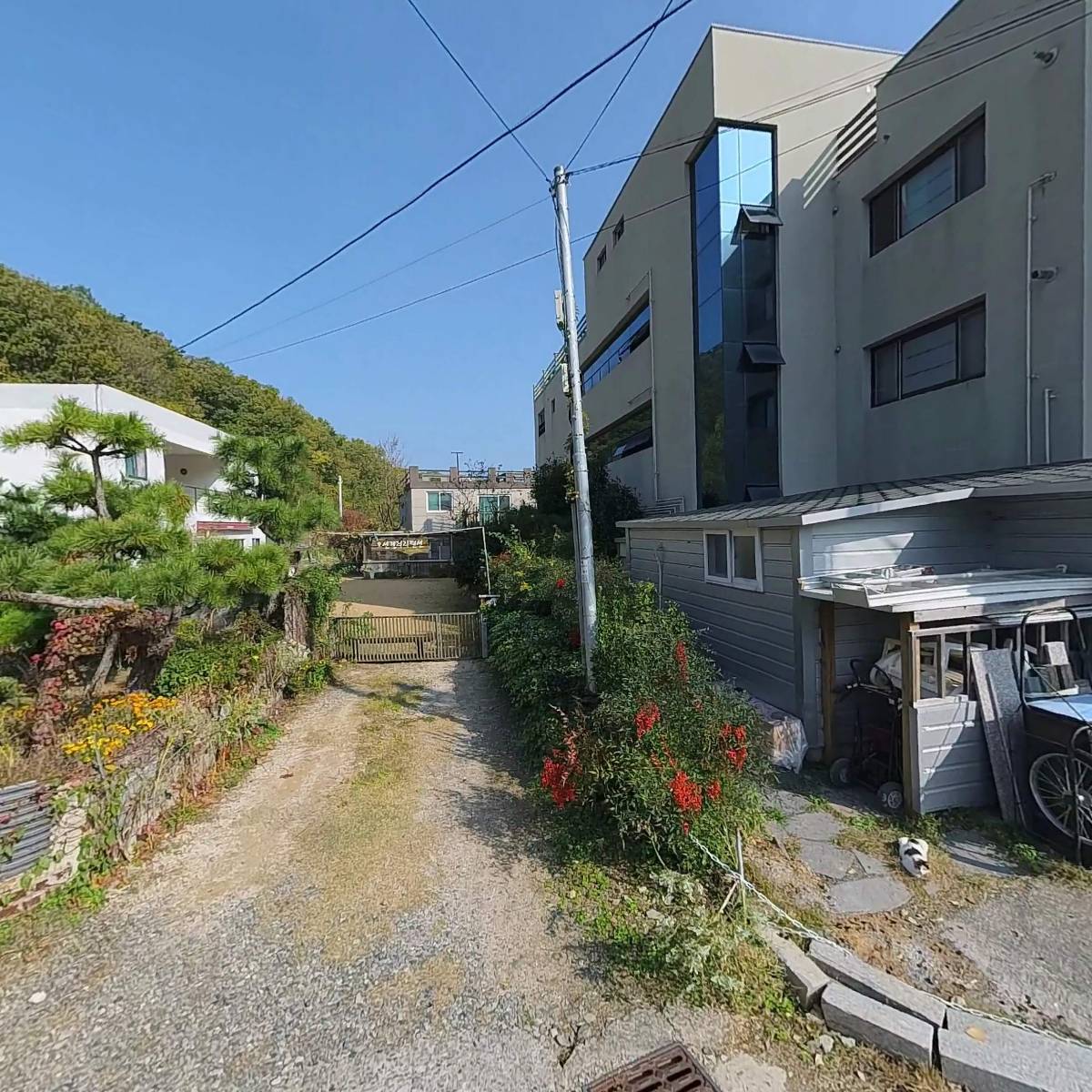 김해김씨 감무공 사군파 금천문회