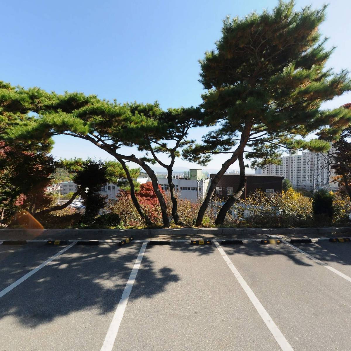 사단법인 서산수영스포츠클럽