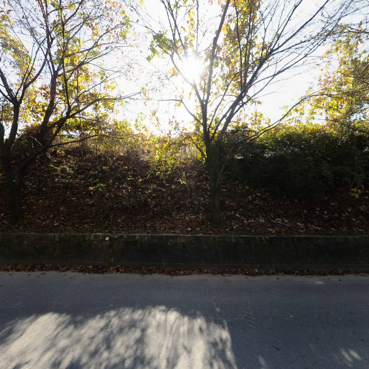 우나스(UNAS)_3