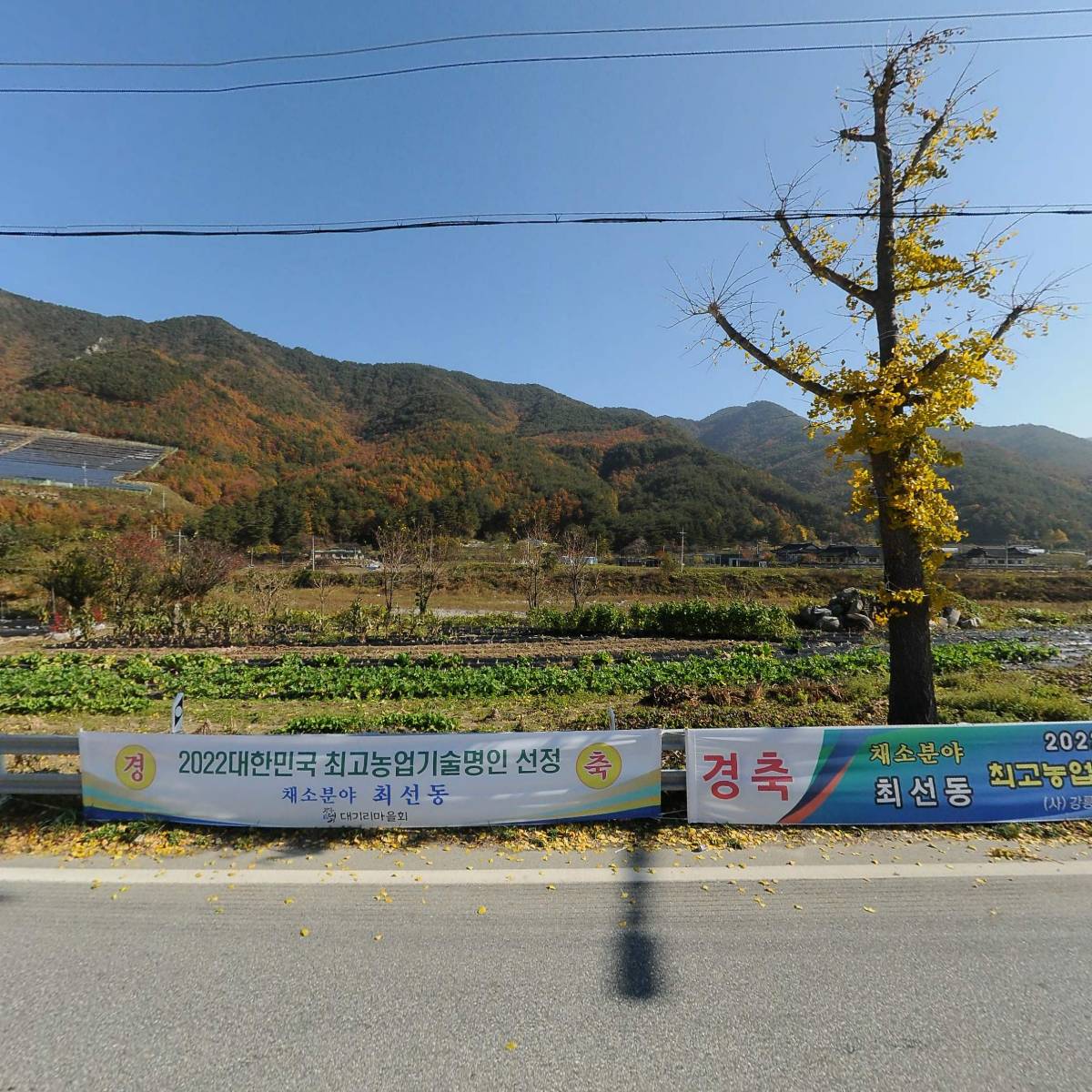 강릉시청_3