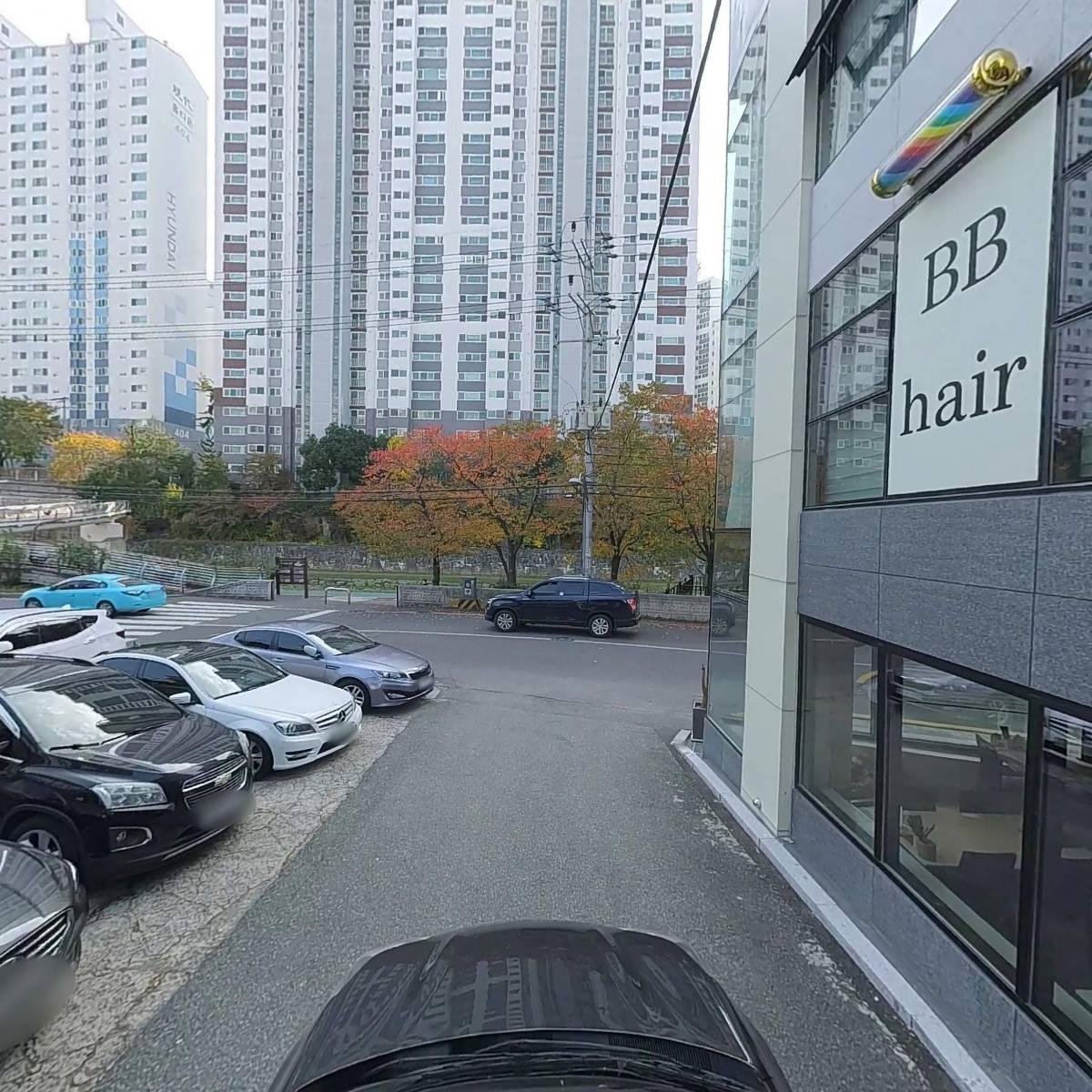 비비헤어_4