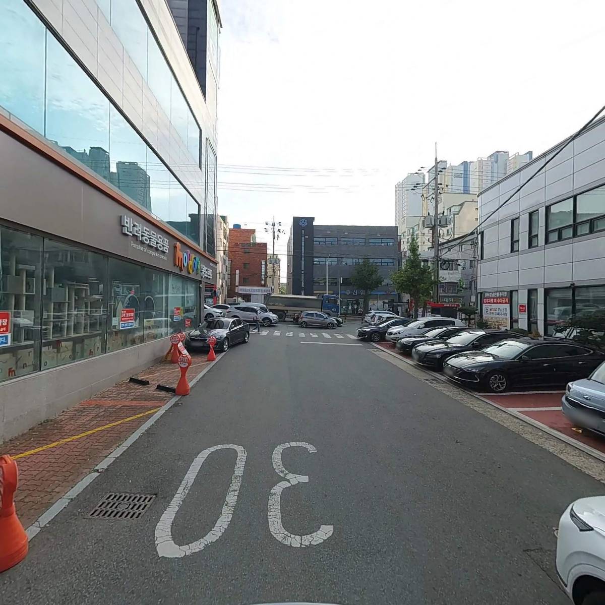 일신스포렉스_2