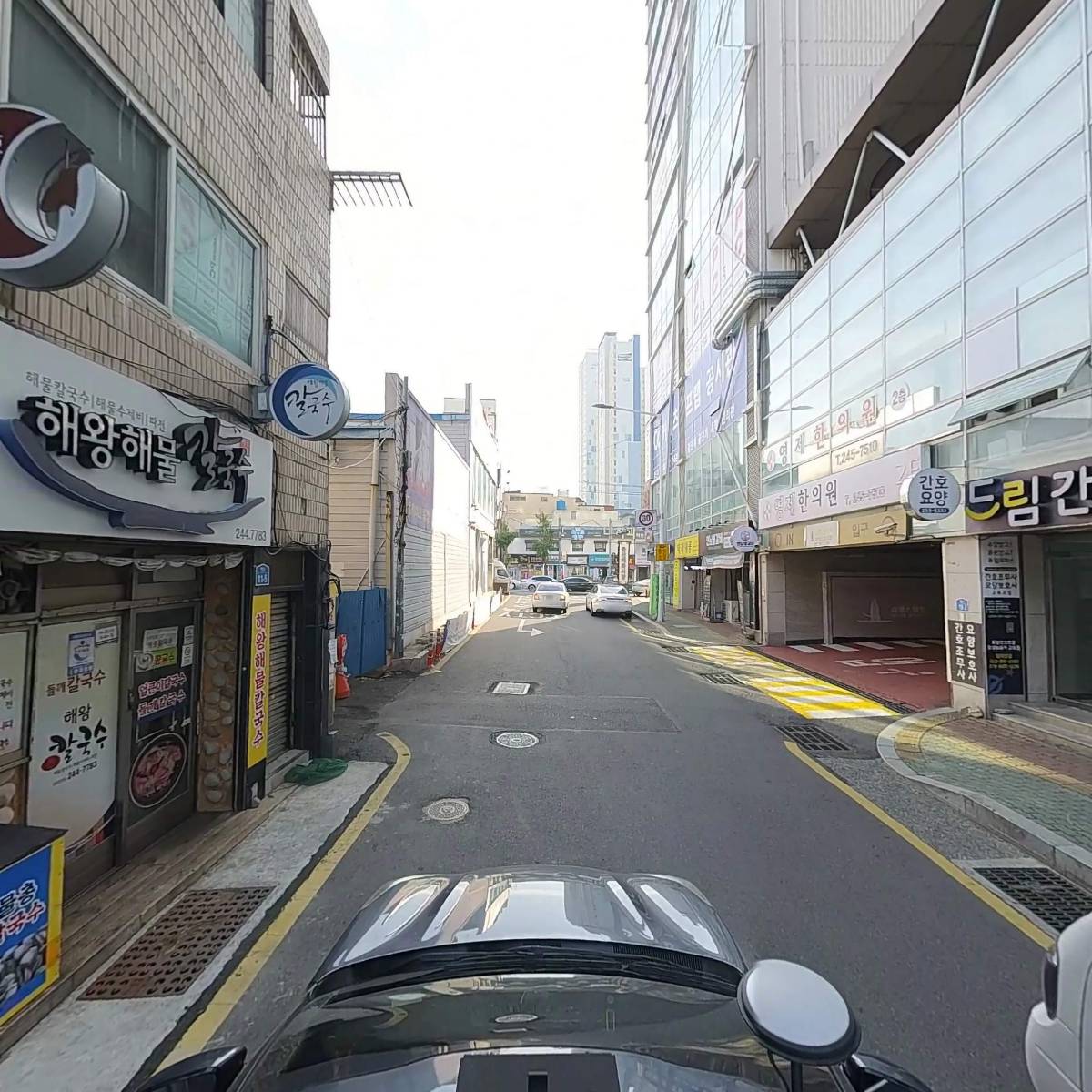 닥터강동물병원_4