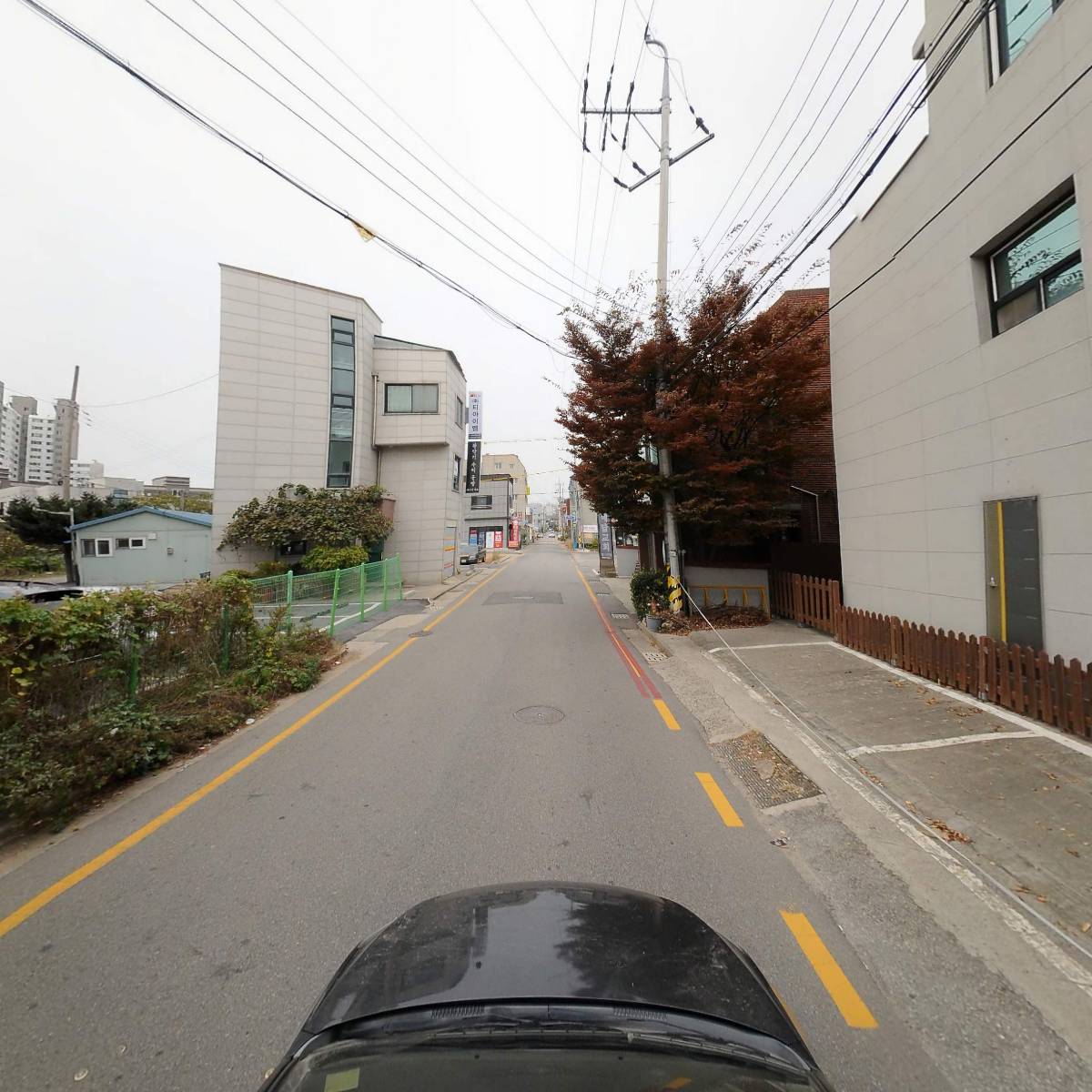 커퍼스초이스_4