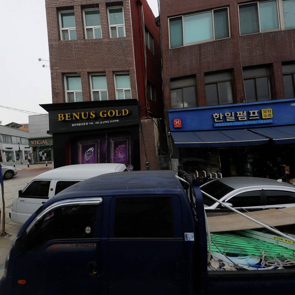 베누스골드